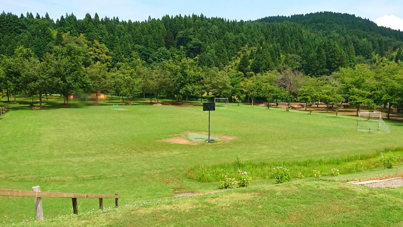 大杉公園の芝生