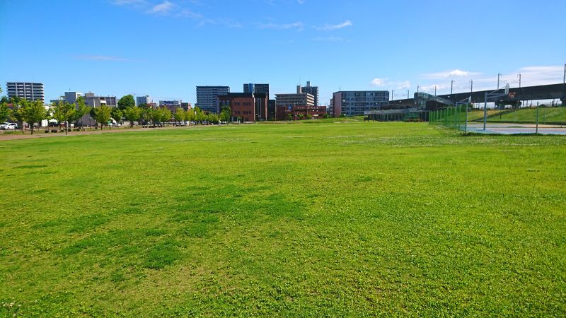 長岡市民防災公園の芝生